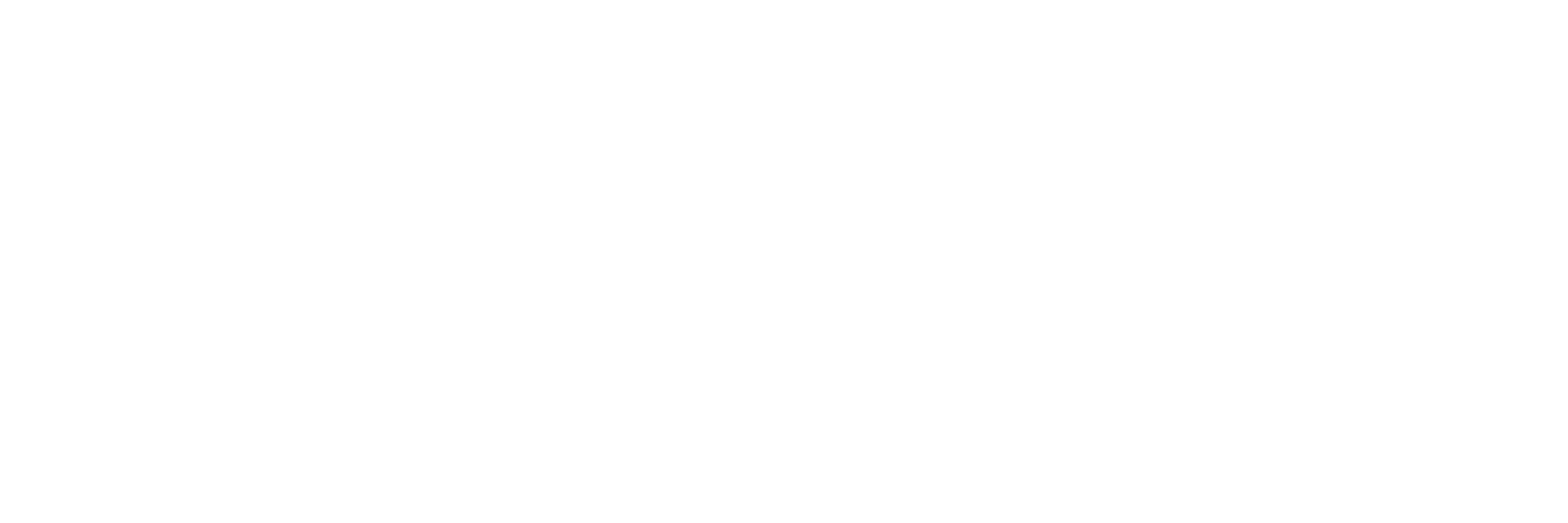 Omen Management logo